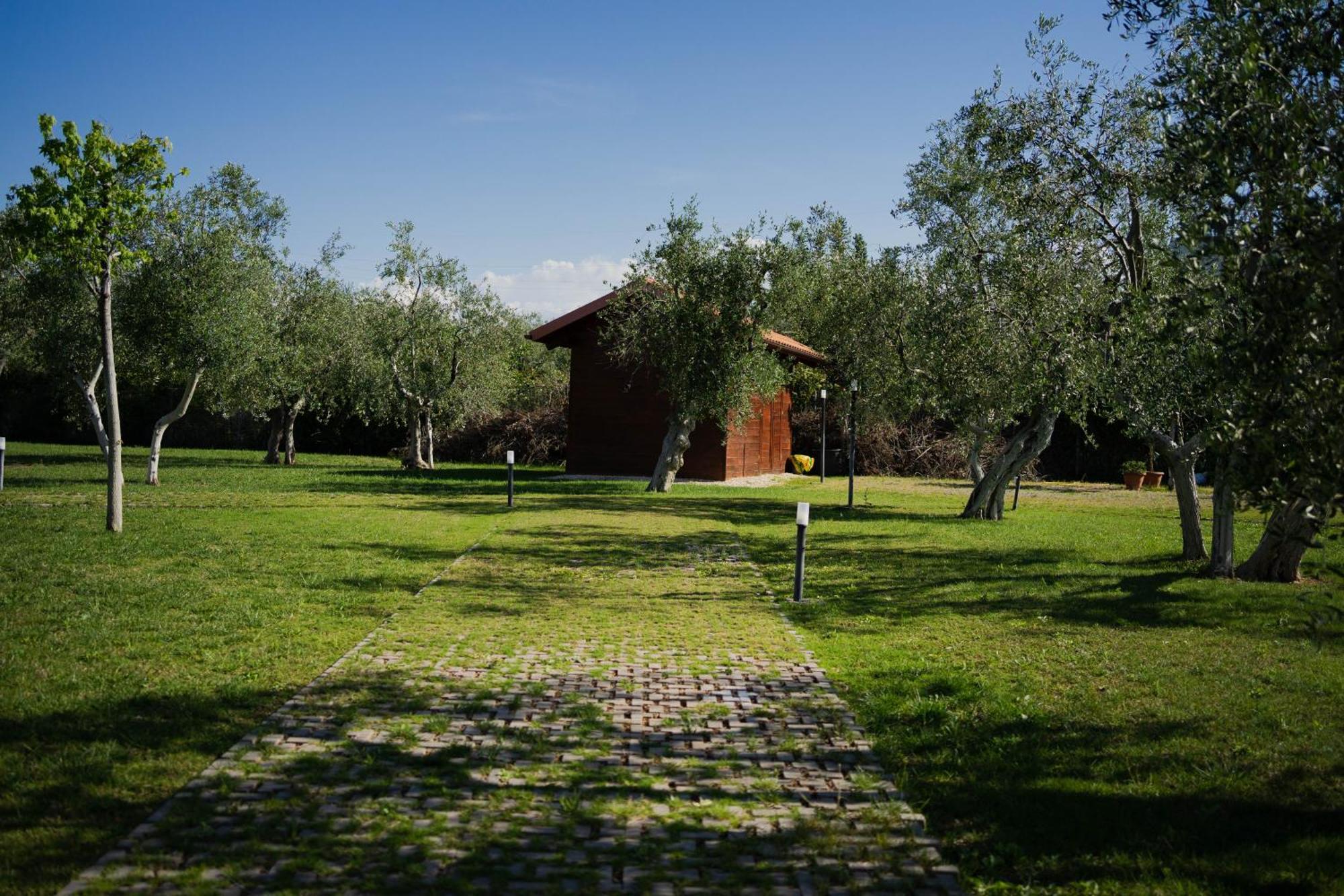 Villa Erada Bari Dış mekan fotoğraf